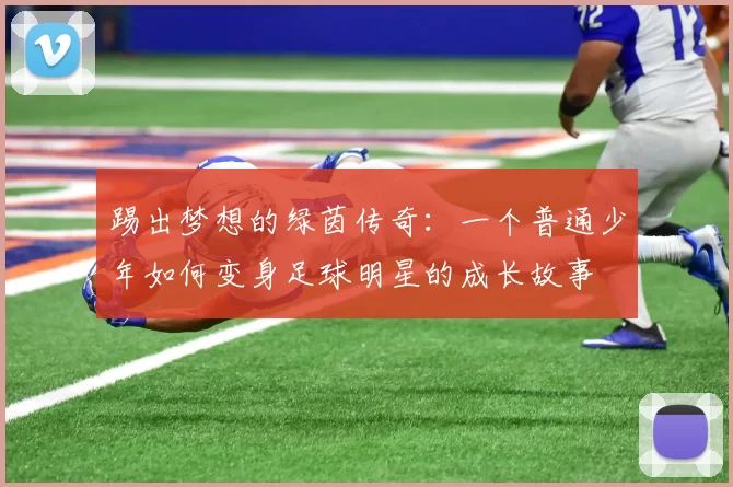 踢出梦想的绿茵传奇：一个普通少年如何变身足球明星的成长故事
