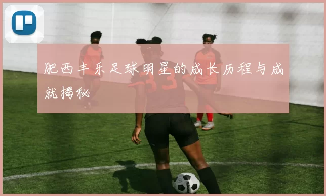 肥西丰乐足球明星的成长历程与成就揭秘