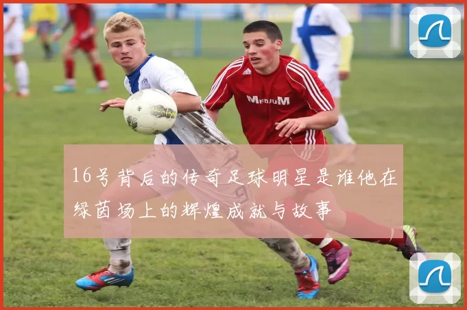 16号背后的传奇足球明星是谁他在绿茵场上的辉煌成就与故事