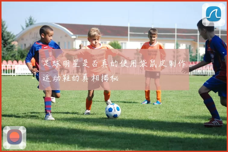 足球明星是否真的使用袋鼠皮制作运动鞋的真相揭秘