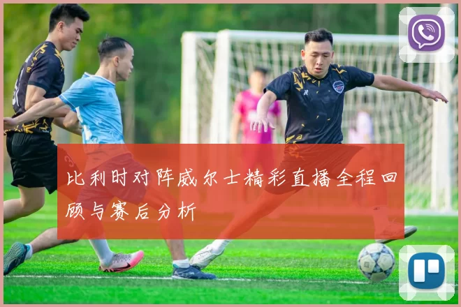 比利时对阵威尔士精彩直播全程回顾与赛后分析