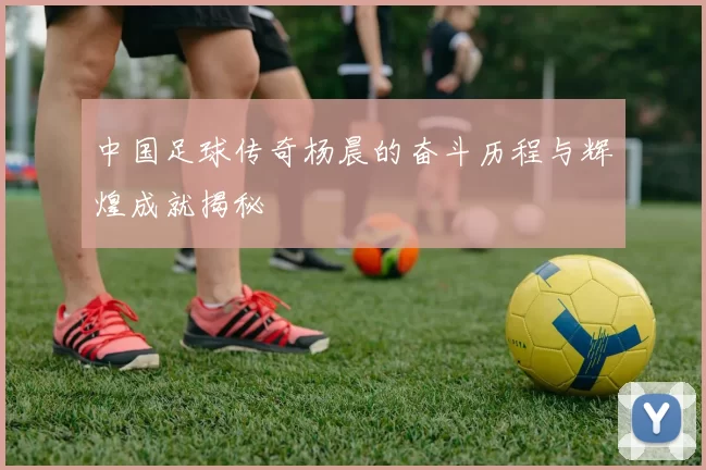 中国足球传奇杨晨的奋斗历程与辉煌成就揭秘