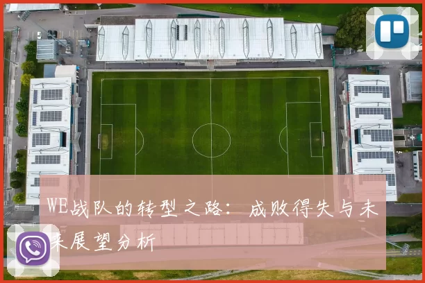 WE战队的转型之路：成败得失与未来展望分析