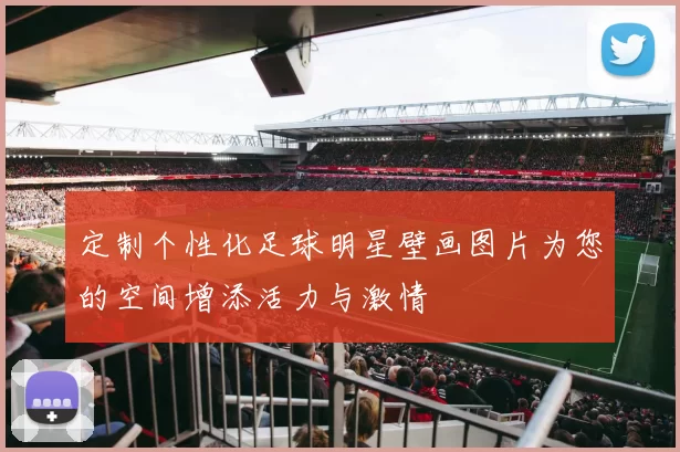 定制个性化足球明星壁画图片为您的空间增添活力与激情