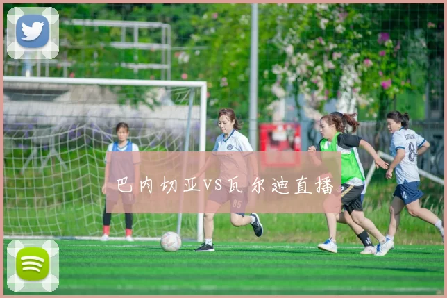 巴内切亚vs瓦尔迪直播