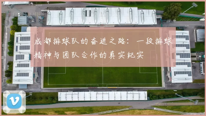 成都排球队的奋进之路：一段排球精神与团队合作的真实纪实