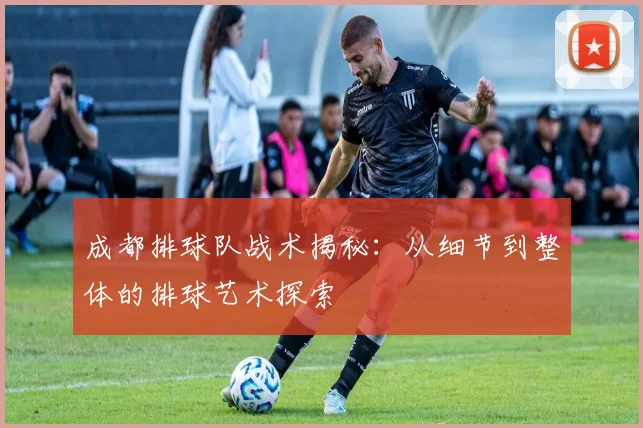 成都排球队战术揭秘：从细节到整体的排球艺术探索