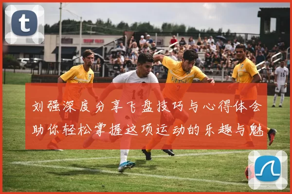刘强深度分享飞盘技巧与心得体会助你轻松掌握这项运动的乐趣与魅力