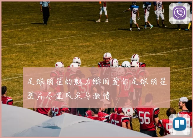 足球明星的魅力瞬间爱你足球明星图片尽显风采与激情