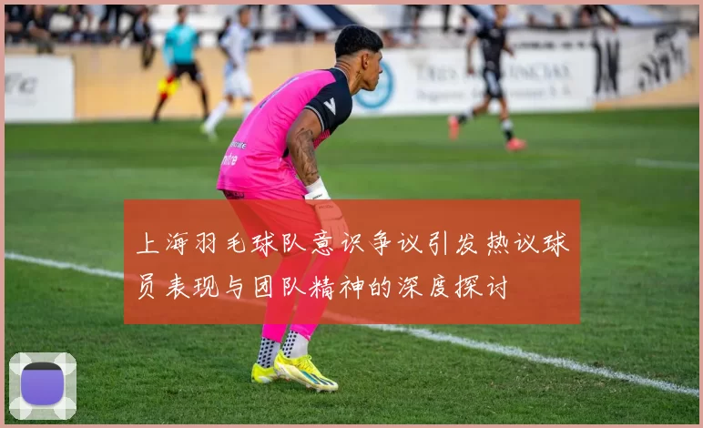 上海羽毛球队意识争议引发热议球员表现与团队精神的深度探讨