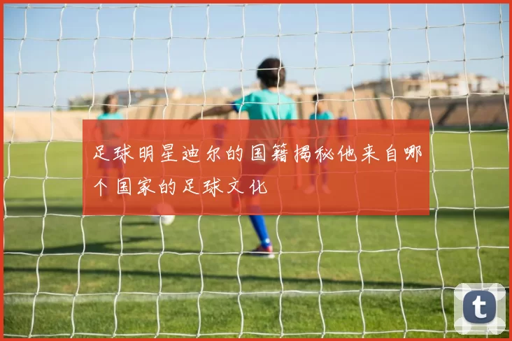 足球明星迪尔的国籍揭秘他来自哪个国家的足球文化