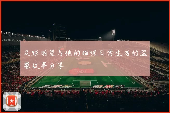 足球明星与他的猫咪日常生活的温馨故事分享