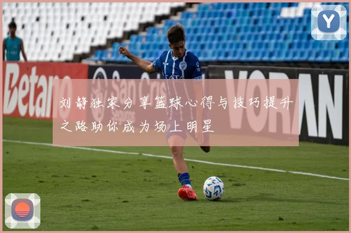 刘静独家分享篮球心得与技巧提升之路助你成为场上明星