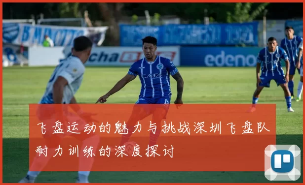 飞盘运动的魅力与挑战深圳飞盘队耐力训练的深度探讨