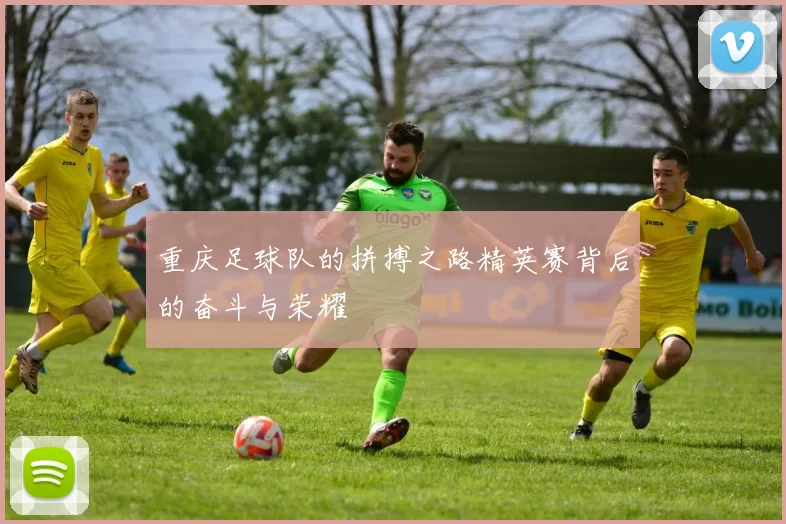 重庆足球队的拼搏之路精英赛背后的奋斗与荣耀