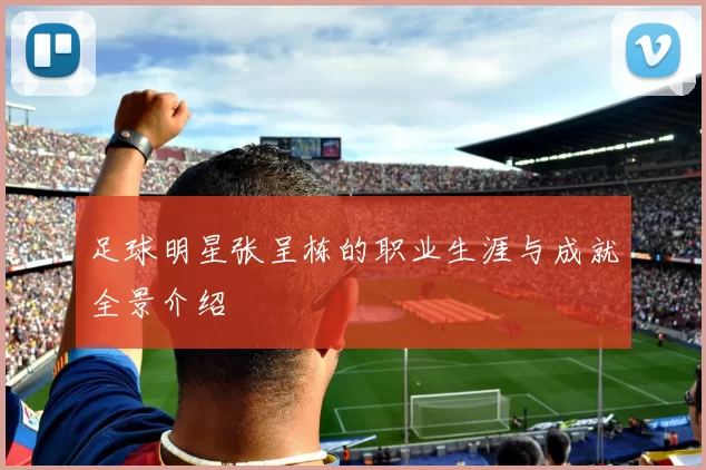 足球明星张呈栋的职业生涯与成就全景介绍