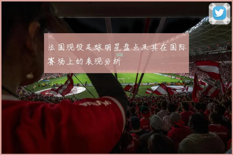 法国现役足球明星盘点及其在国际赛场上的表现分析