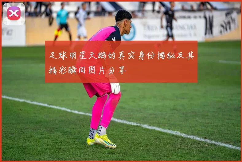足球明星天鹅的真实身份揭秘及其精彩瞬间图片分享